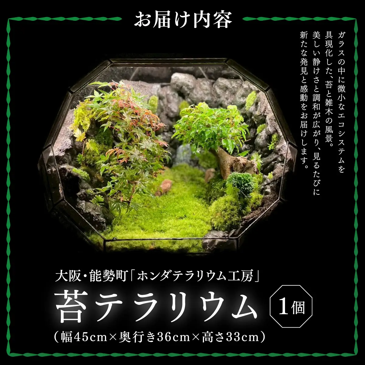 苔テラリウム | ホンダテラリウム工房 | 62面体 インテリア 和モダン 観葉植物 盆 一点もの アート作品 ハンドメイド 手作り LEDライト付き ガラス容器 癒し リラクゼーション ミニチュア ジオラマ おしゃれ ギフト | 大阪府 能勢町 送料無料
