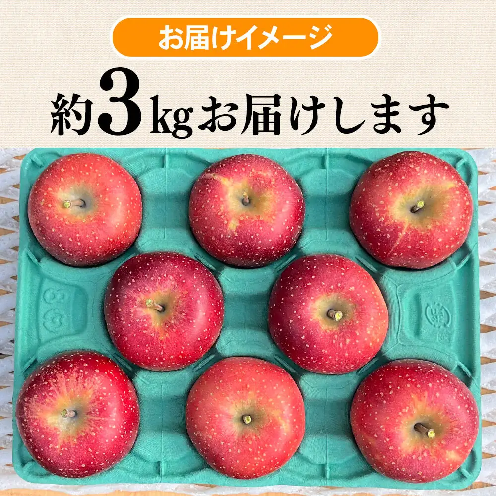 【26年10月下旬～発送】りんご 千雪 約3kg カワムラファーム【贈答用】青森 果物 フルーツ 林檎 リンゴ くだもの