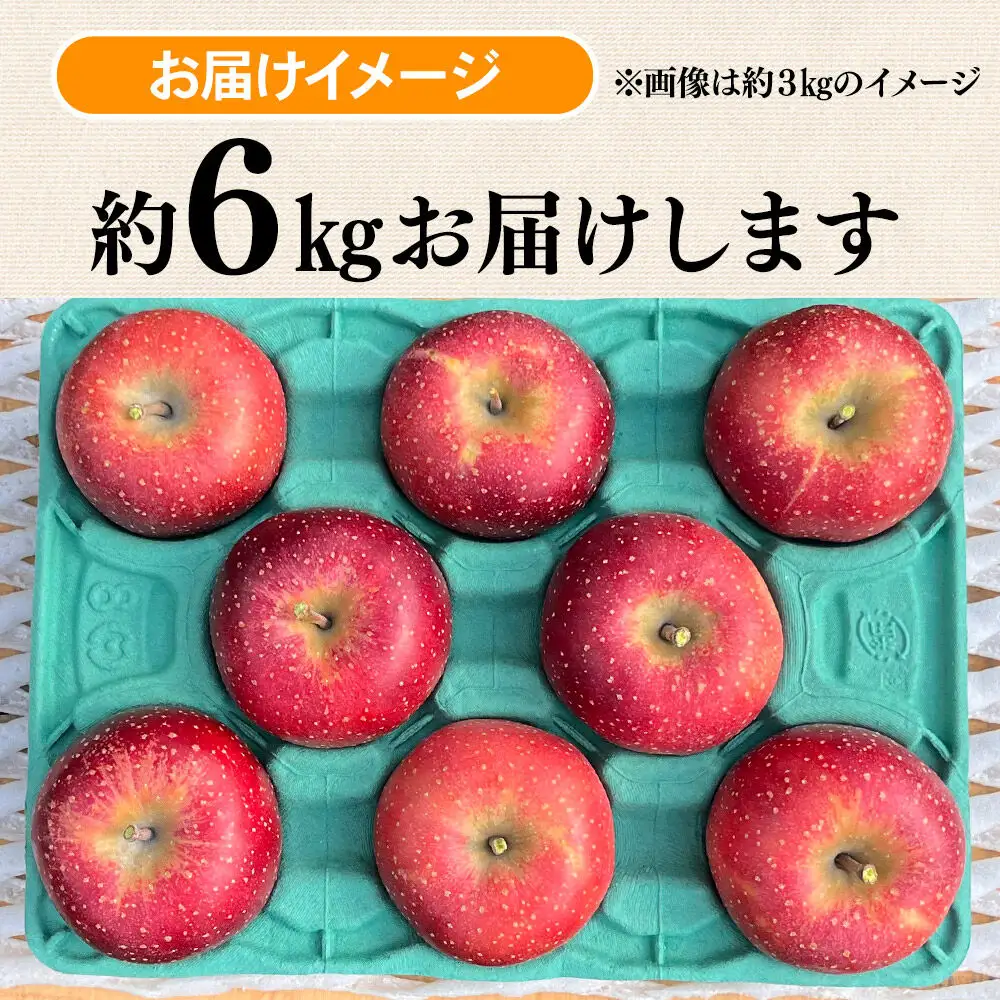 【26年10月下旬～発送】りんご 千雪 約6kg カワムラファーム【贈答用】青森 果物 フルーツ 林檎 リンゴ くだもの