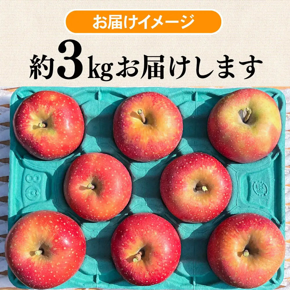 【26年10月下旬～発送】りんご 千雪 約3kg カワムラファーム【家庭用】青森 果物 フルーツ 林檎 リンゴ くだもの