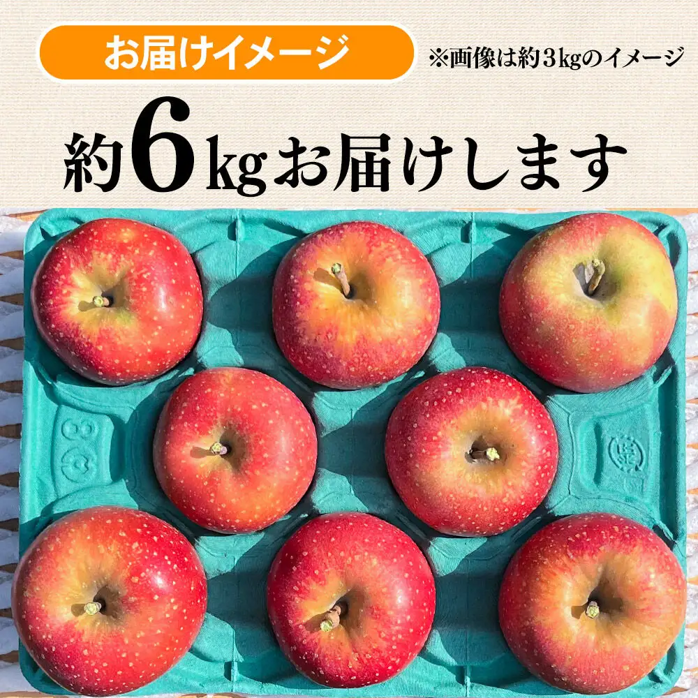 【26年10月下旬～発送】りんご 千雪 約6kg カワムラファーム【家庭用】青森 果物 フルーツ 林檎 リンゴ くだもの