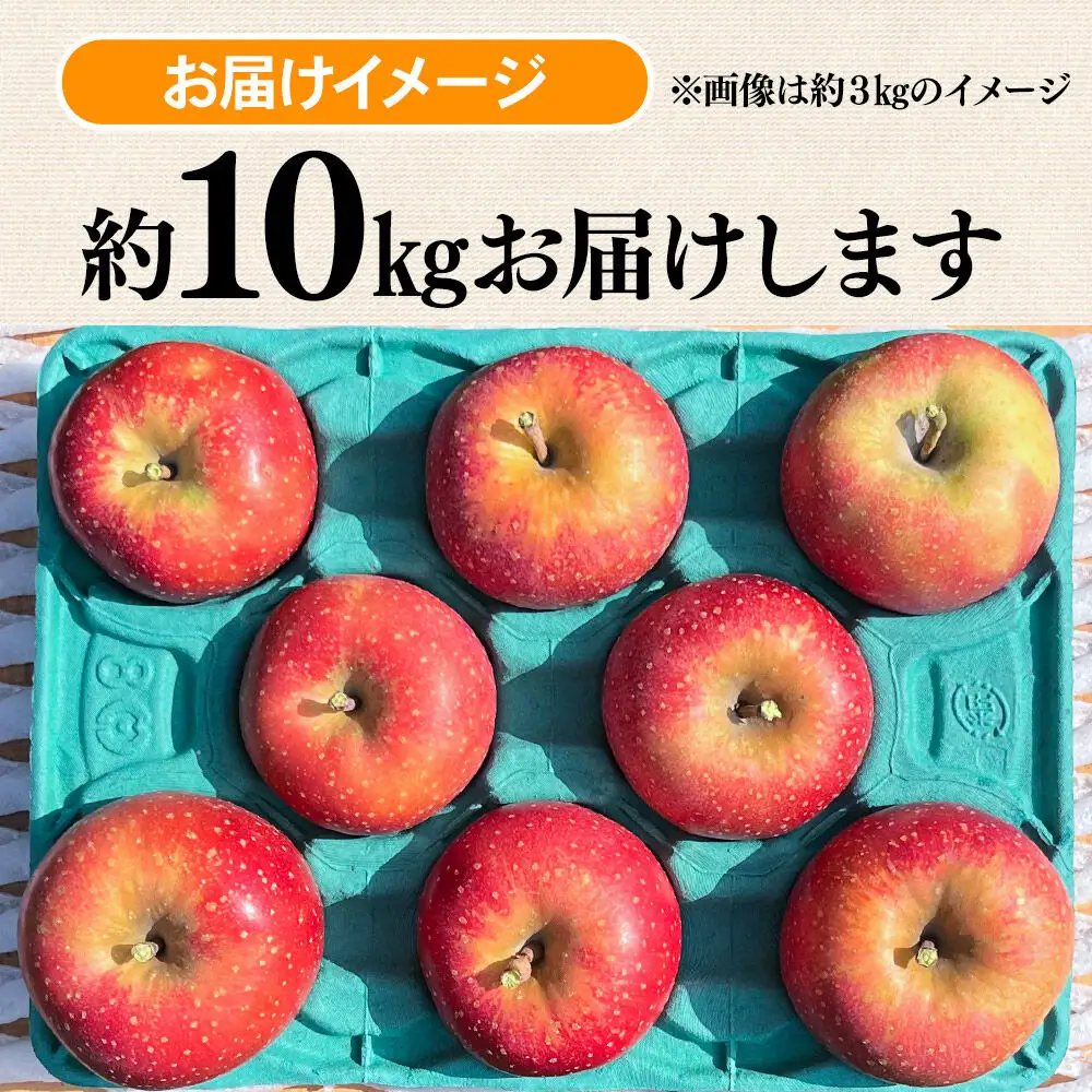 【26年10月下旬～発送】りんご 千雪 約10kg カワムラファーム【家庭用】青森 果物 フルーツ 林檎 リンゴ くだもの