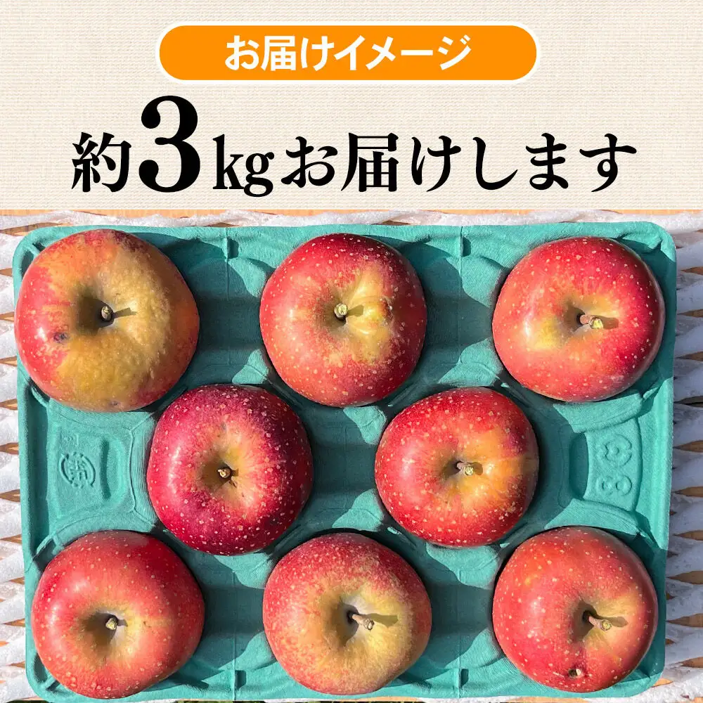 【26年10月下旬～発送】りんご 千雪 約3kg カワムラファーム【訳あり】青森 果物 フルーツ 林檎 リンゴ くだもの