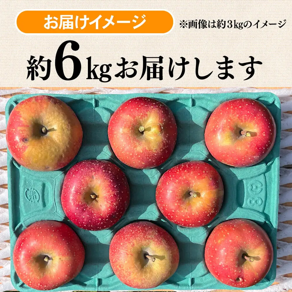 【26年10月下旬～発送】りんご 千雪 約6kg カワムラファーム【訳あり】青森 果物 フルーツ 林檎 リンゴ くだもの