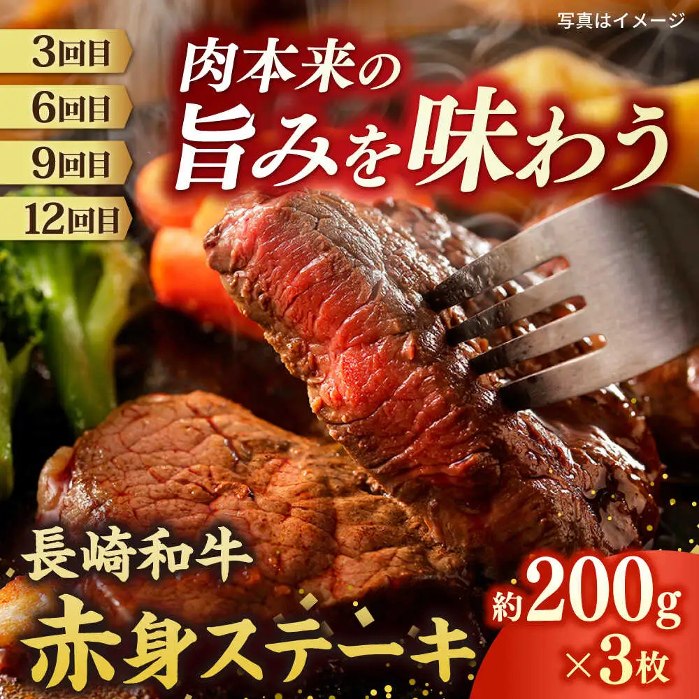 【12回定期便】長崎和牛ステーキ 2名 [ECS077] ステーキ