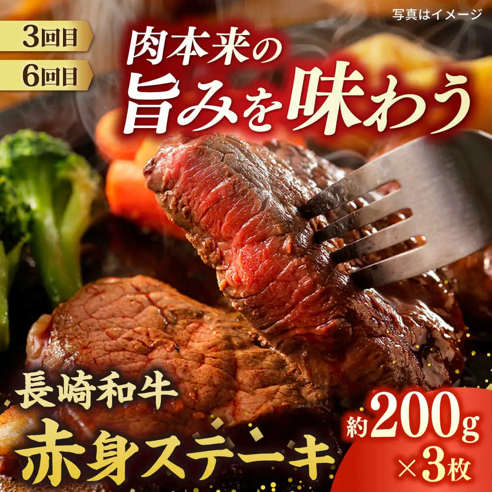 【6回定期便】長崎和牛ステーキ 2名 [ECS078] ステーキ