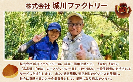 ＜生栗 2Lサイズ（約3kg）＞甘い 栗 マロン くり 和栗 栗ごはん モンブラン 栗きんとん 栗まんじゅう 甘露煮 スイーツ ケーキ 洋菓子 和菓子 お菓子 秋 味覚 産地直送 城川ファクトリー 愛媛県 西予市【冷蔵】『2026年9月中旬～10月上旬に順次発送予定』SSF0036