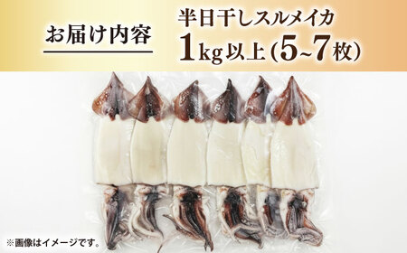 スルメイカ　半日干し 1kg以上 5〜7枚《壱岐市》【馬渡水産】[JAQ029]
