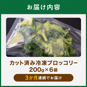 【3ヶ月定期便】小分け カット済み ブロッコリー 冷凍 1.2kg×3回 北海道森町産 野菜 おかず お弁当 便利 小分け カット済み ブロッコリー 冷凍 mr1-1005