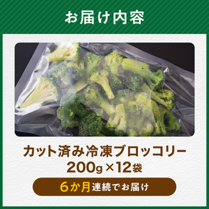【6ヶ月定期便】北海道産 ブロッコリー 冷凍 2.4kg×6回 野菜 ブロッコリー mr1-1009 
