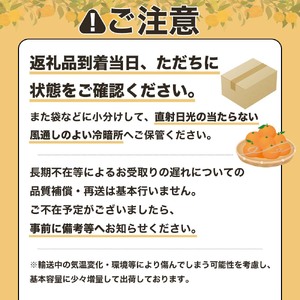 R8.1月発送 オレンジ園のぽんかん３kg  【R01498】
