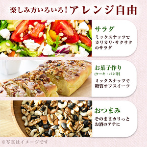 豆 ミックスナッツ 4種 380g×1袋 1回 ナッツ 無塩 無添加