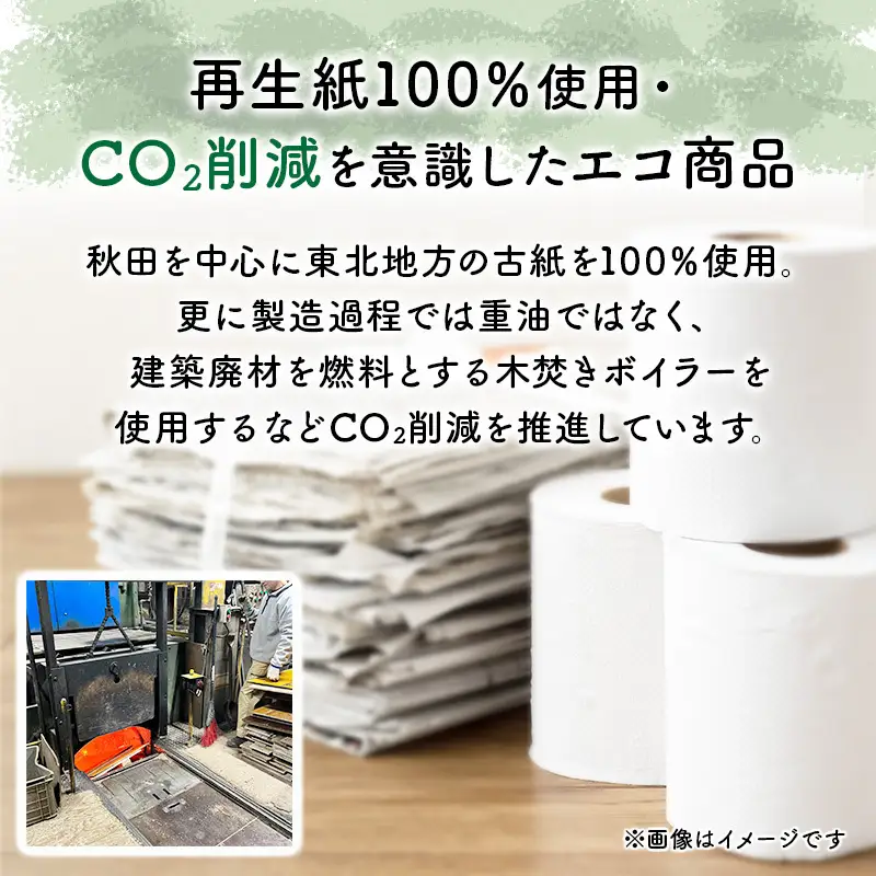 【9ヶ月定期便】トイレットペーパー 2倍巻き ダブル エブリワン トイレット 【計72パック(12個入×6P)】 