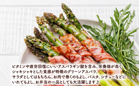 グリーンアスパラ 極太 3Lサイズ 富良野産 グリーンアスパラ【500g】【先行予約】