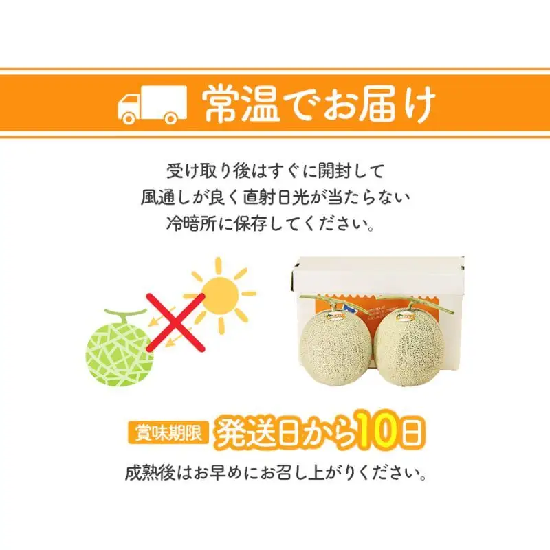 【数量限定！】北海道 富良野 メロン Lサイズ 1.3kg以上×1玉 フルーツ 果物