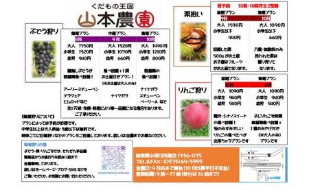 果物狩り、栗拾い体験チケット 山本農園 体験 体験チケット チケット F4N-2516