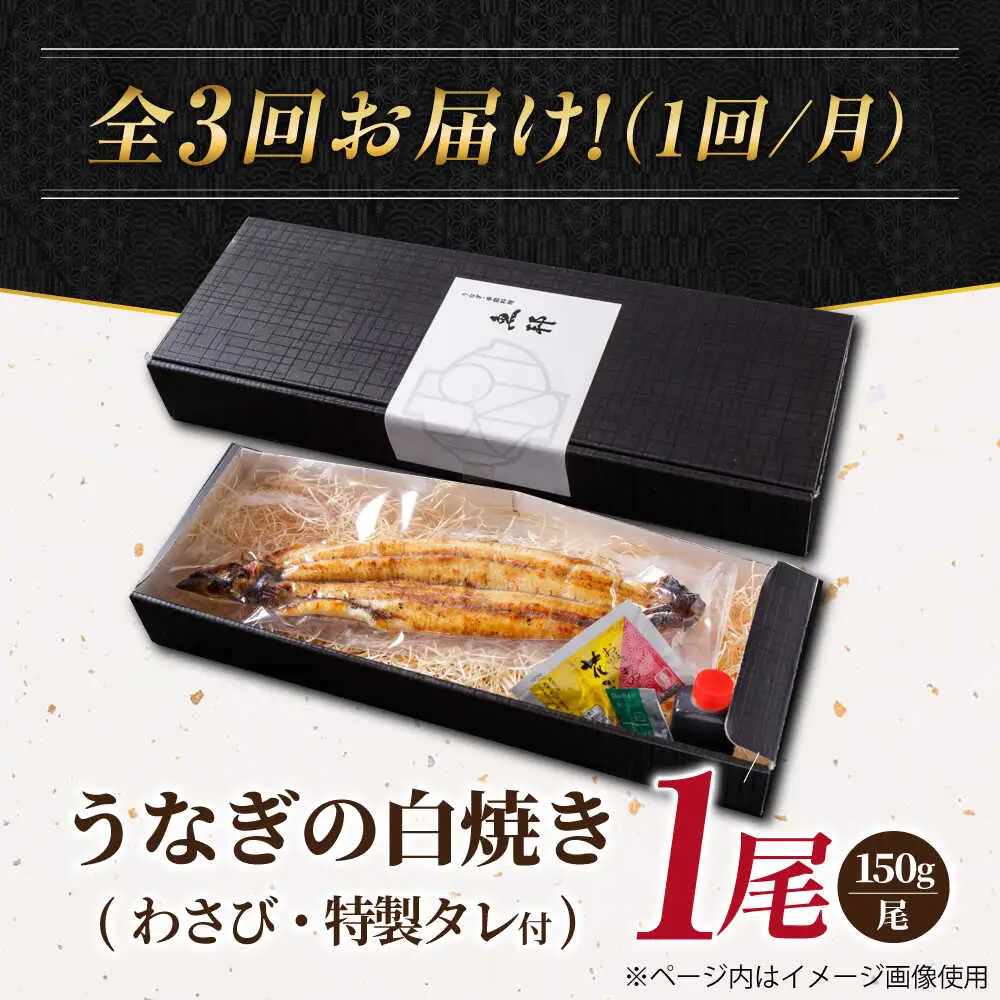 【3回定期便】国産 上うなぎ 白焼き 1尾 約150g / 鰻 ウナギ うなぎ 白焼き / 御嵩町 / 鰻 季節料理 魚邦[AVBH024]