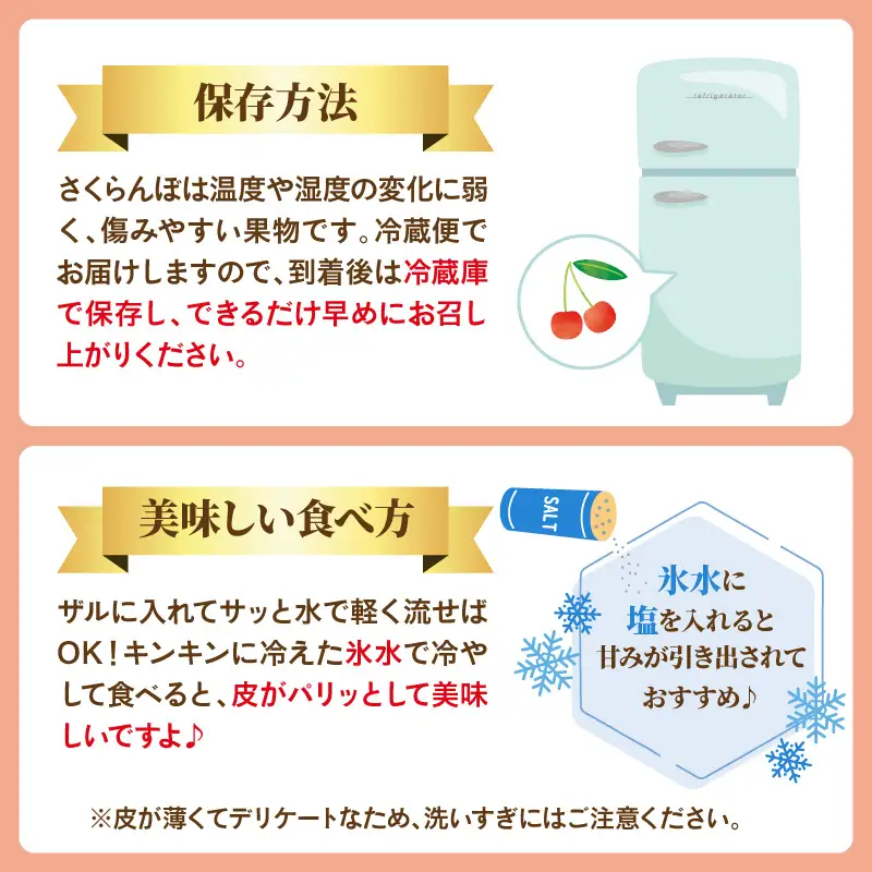 さくらんぼ 紅秀峰 秀以上 2L 500g 令和9年産 さくらんぼ