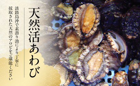 あわび 淡路島 天然 活あわび 800g あわび