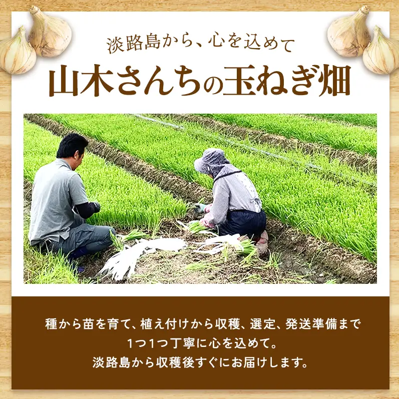 新玉ねぎ 淡路島産 10kg 山木さんち 甘い 新玉ねぎ