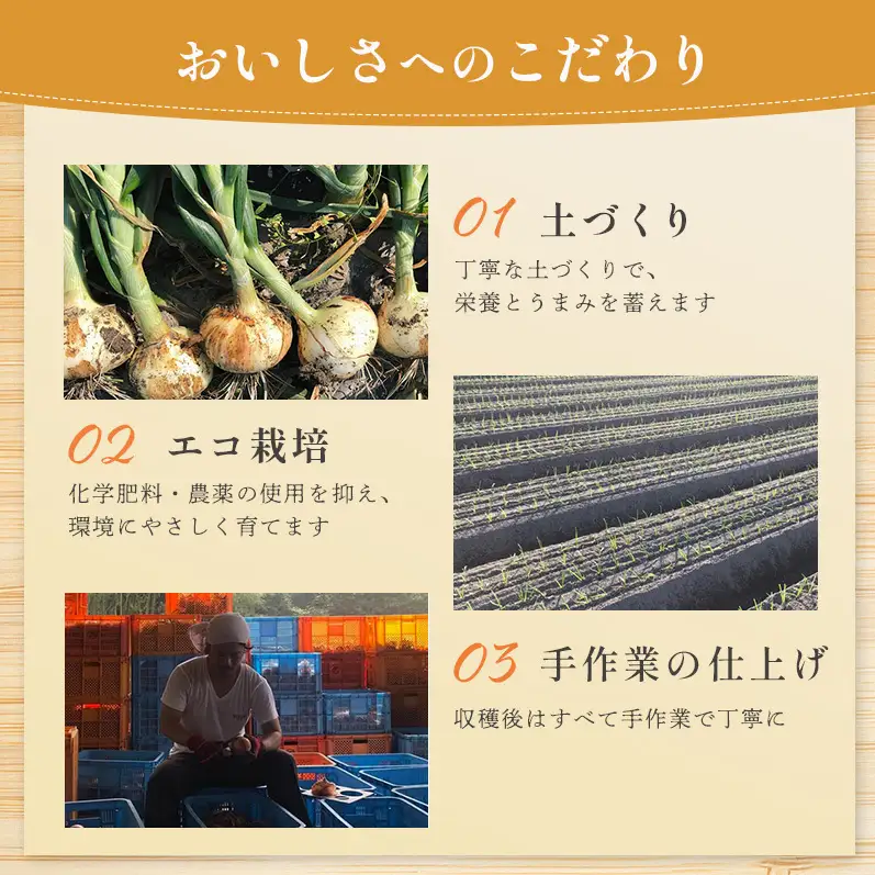 玉ねぎ 淡路島産 5kg みやざきファーム 甘い 玉ねぎ