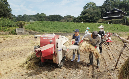 とみた農園 天日干し コシヒカリ 米 10kg とみた農園 淡路島 洲本市