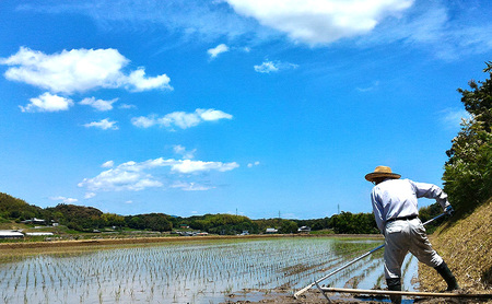 相原ファーム 令和7年産 米 ヒノヒカリ 5kg 淡路島 洲本市