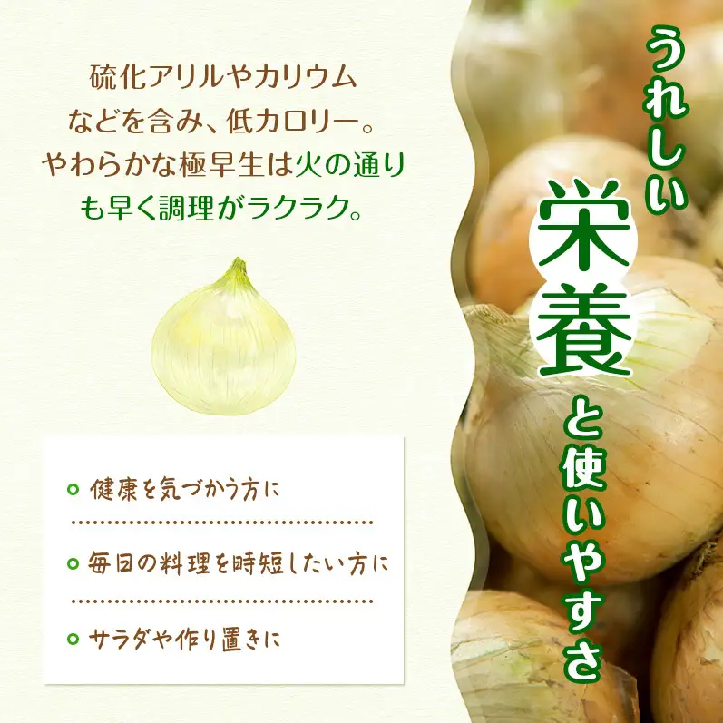 新玉ねぎ 極早生 5kg うしろ農園 甘い 新玉ねぎ