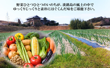 野菜 自然栽培 風土ベジ 5～7品 セット 淡路島産 野菜 淡路島 洲本市