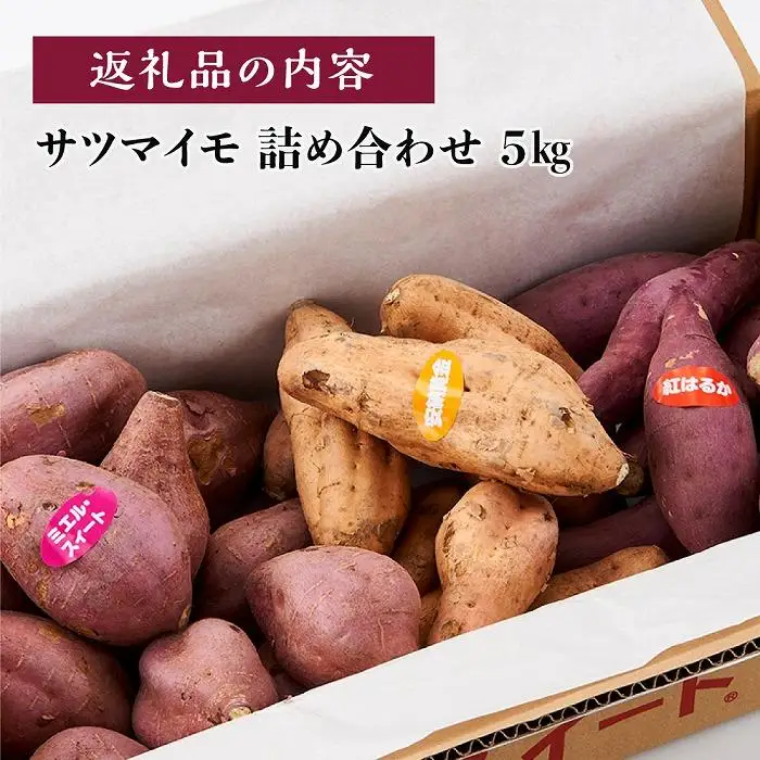 【先行予約】(2026年10月末～発送予定) サツマイモ 詰合せ 5キロ ミエルスイート ＋1種類以上