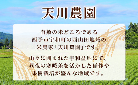 ＜令和7年産 コシヒカリ 約5kg 西予市宇和町産＞ 5キロ 白米 精米 こしひかり 米 お米 コメ こめ 宇和米 うわまい ご飯 ごはん ライス 送料無料 産地直送 天川農園 愛媛県 西予市【常温】『2025年9月中旬～12月迄に順次発送』UAN0001