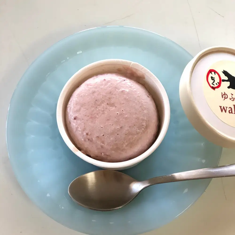 豆乳いちごアイス＆豆乳ラムレーズンアイスセット 約80g×各3個入り 計6個【ゆふいんwakoya】
