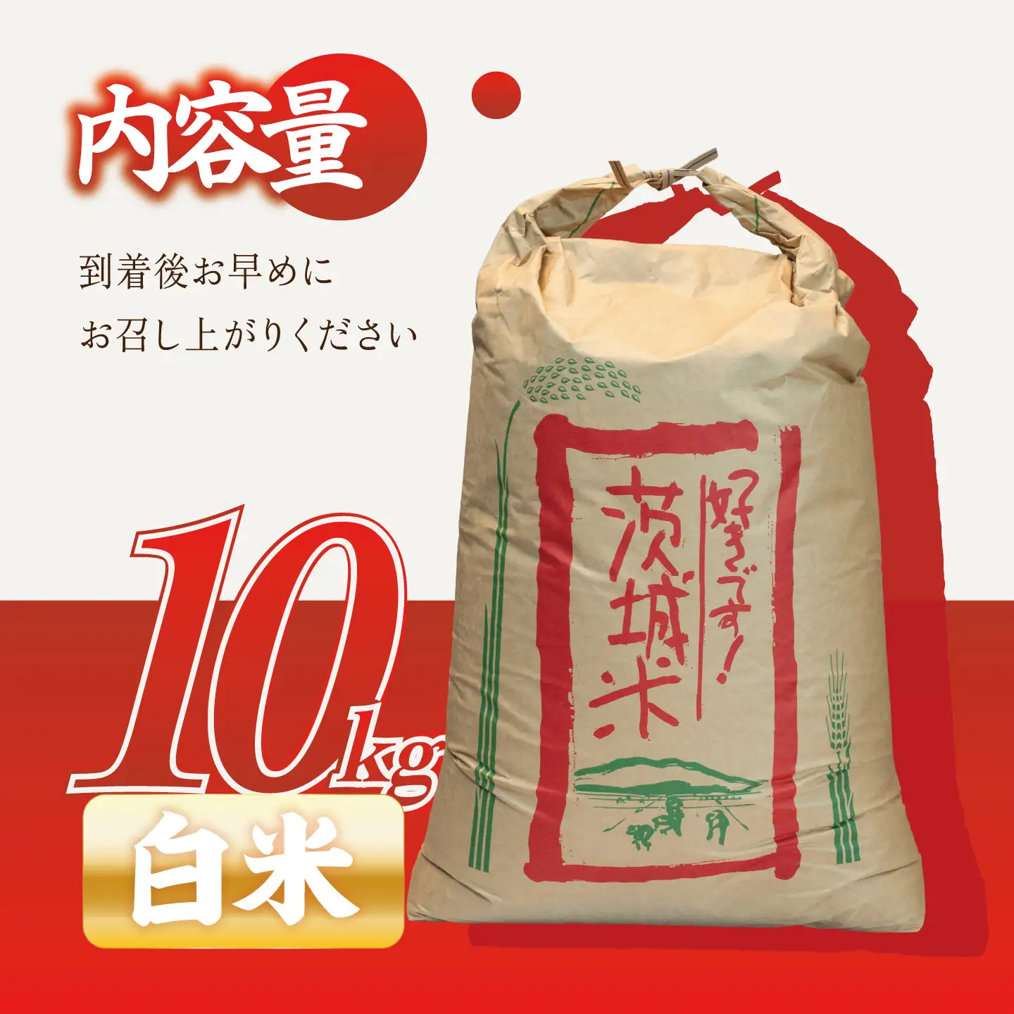 米 令和8年産 新米 コシヒカリ 精米 10kg 米