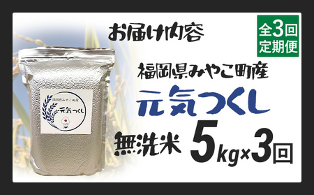 定期便 無洗米 米 令和8年産 無洗米 元気つくし 5kg 3回 定期便 精米 福岡県 みやこ町産 チャック付き チャック 防虫 ごはん おにぎり 福岡 九州 グルメ お取り寄せ
