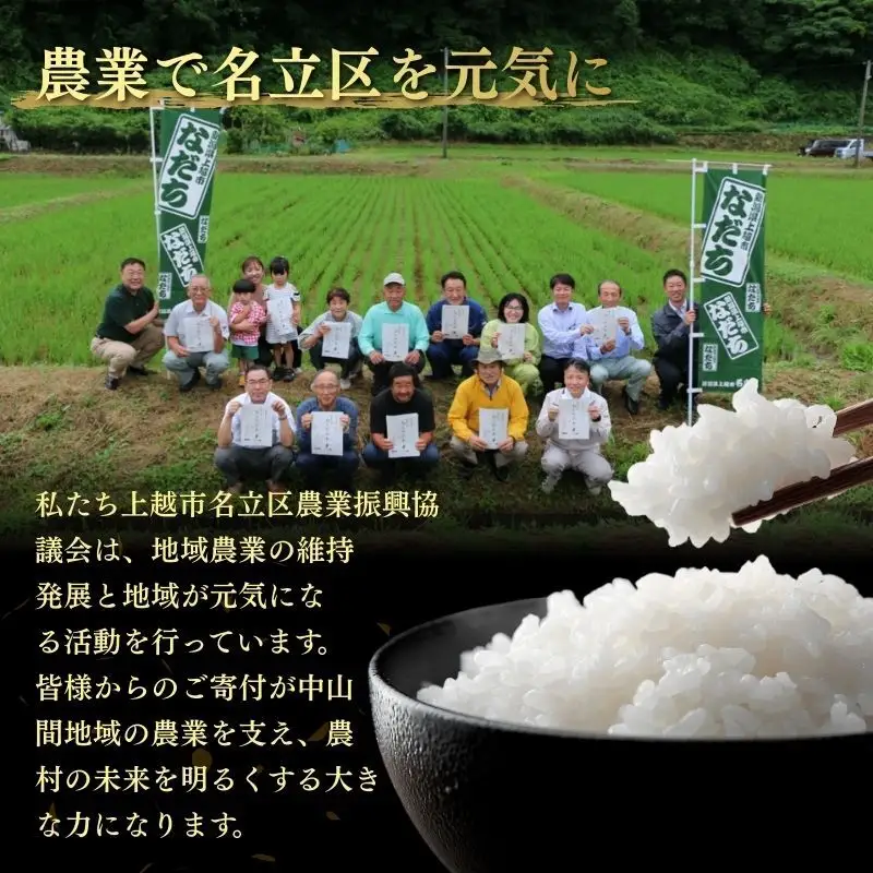 【3ヶ月定期便】灘立銀嶺米 光 コシヒカリ 精米 20kg 上越産 コシヒカリ