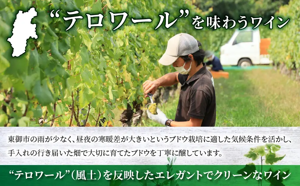 ワイン 御堂（みどう）シャルドネ　4本｜ヴィラデスト ワイナリー 長野ワイン 日本ワイン 白ワイン 辛口