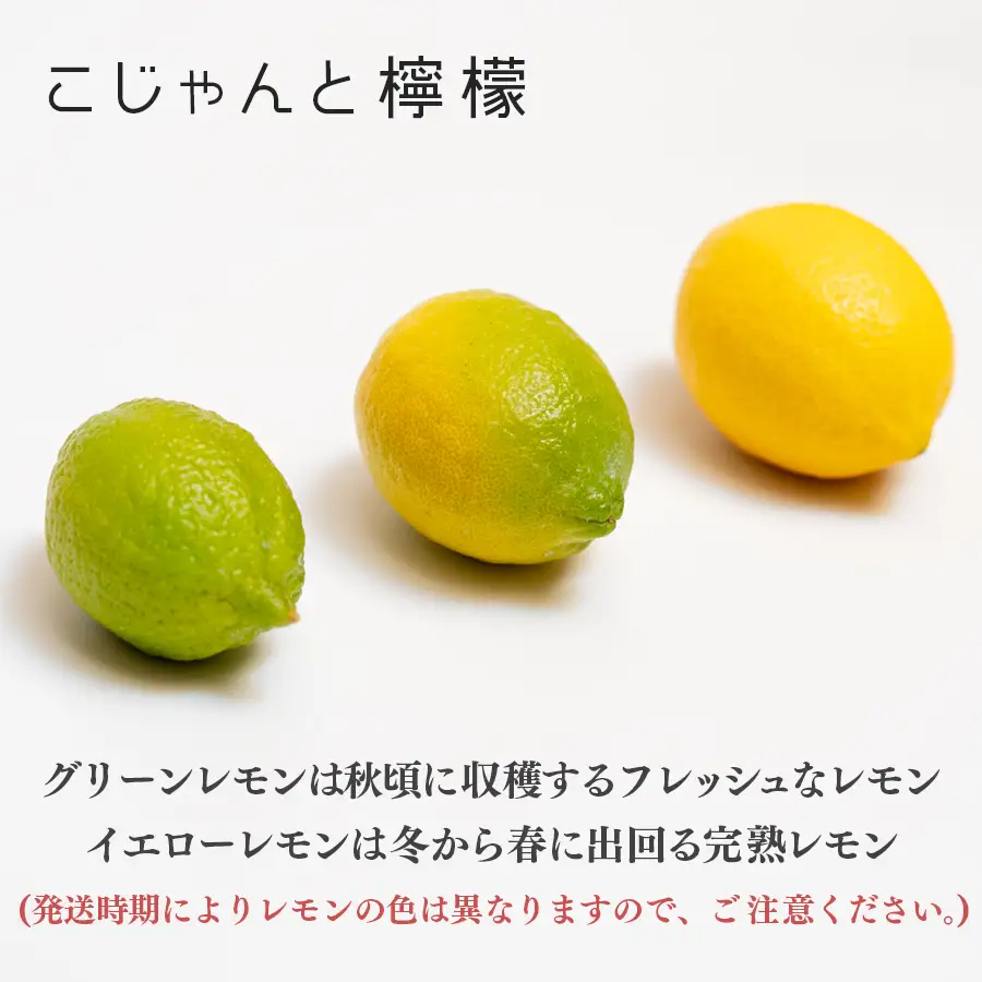 こじゃんとレモン 4kg