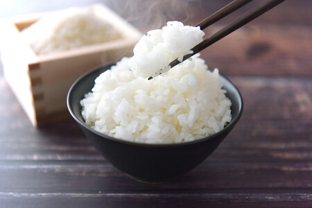 【R8年産】 新米 石墨清流米 特別栽培米 コシヒカリ 5kg ｜ 減化学肥料 減農薬 令和8年度産 愛媛県久万高原町 米 ※離島への配送不可 ※2026年10月上旬頃より順次発送予定