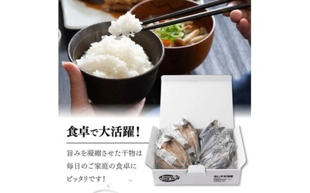 【偶数月定期便】いずま海産のトロアジ干物8枚頒布会【6回お届け】干物
