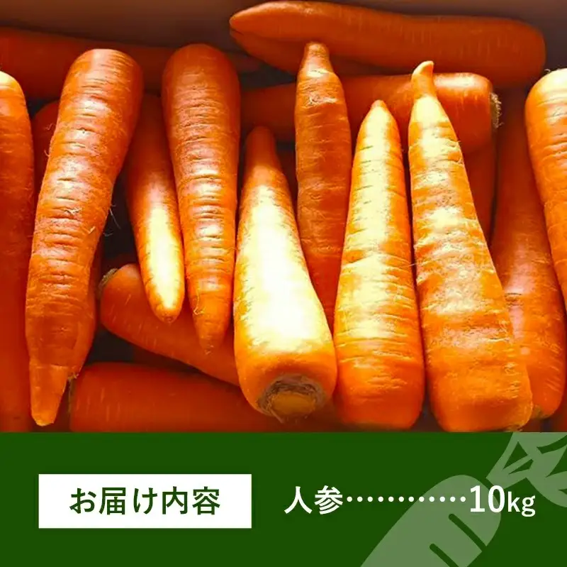 【きあり農園】2026年度 幸手市産 人参 10kg - 採れたて にんじん ニンジン 産地直送 野菜 ベジタブル 美味しい おいしい 根菜 煮物 炒め物 カレー サラダ おすすめ 送料無料 埼玉県 幸手市