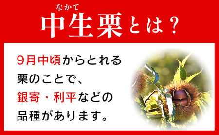 【先行予約】＜中生栗 約3kg（2Lまたは3Lサイズ）愛媛県西予市産＞ クリ くり 果物 フルーツ マロン モンブラン 栗ご飯 栗きんとん 栗の甘露煮 特産品 国産 秋の味覚 食べて応援 宇都宮物産 愛媛県 西予市【冷蔵】『2026年9月上旬～10月中旬迄に順次出荷予定』UUB0082
