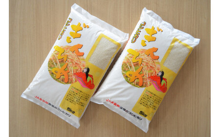 コシヒカリ「ぎんひめ」10㎏ (5㎏×2 ) 多気郡産 米 コメ 精米 白米 10kg 5kg 国産 ごはん 人気 おすすめ こしひかり 三重県 多気町 JA‐08