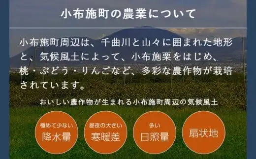 冬に食べるシャインマスカットとサンふじ詰合せ 1房（約500g） 2～3玉［おぶせファーマーズ］ ぶどう りんご 林檎 リンゴ 果物 フルーツ  長野 信州 数量限定 令和8年産【2026年11月下旬～2027年1月下旬発送】[F-66]