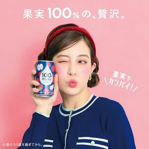 1125 １００％カジューハイ りんご チューハイ 340ml×24本 １ケース