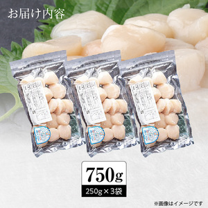 訳あり 北海道 噴火湾産 ホタテ 貝柱 250g × 3袋 内浦湾 噴火湾 新鮮 一粒ずつ 急速冷凍 とても甘い 旨み 生 刺身 バター焼き ほたてごはん フライ 海の味覚 海鮮 魚介 貝 海産物 お取り寄せ 函館市 送料無料 _HD117-044