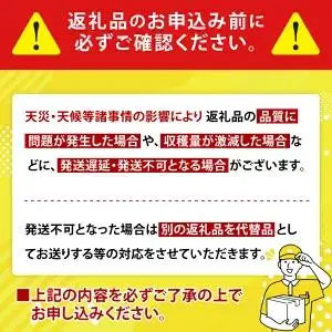 【2027年8月より順次発送】【THE Dinosaur Egg】プレミアムキーツマンゴー 1玉(約750g以上) (BV013)
