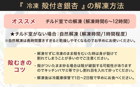 【冷凍】 北九州河内の銀杏 200g 銀杏 ぎんなん ギンナン 実 おつまみ 旬 季節の食べ物 秋の味覚 冷凍 福岡県 北九州