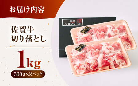 【12月発送】佐賀牛切り落とし 500ｇ×2パック HCS003 切り落とし 