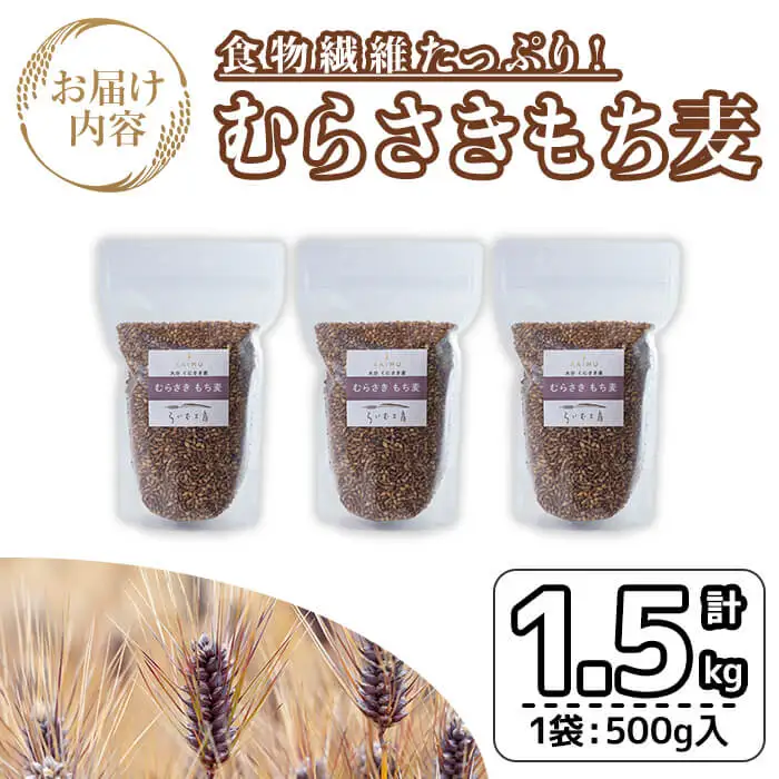  むらさきもち麦 (計1.5kg ・500g×3袋) 常温 もち麦 紫もち麦 食物繊維 大麦 小分け 国産 【opas002】【らいむ工房】