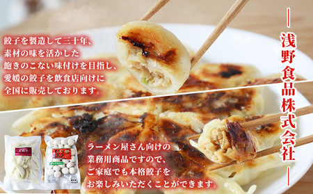 ＜愛媛のおいしい餃子セット サクッとジューシー餃子 125個(25個×5袋)＞ぎょうざ ギョーザ 餃子 国産 ジューシー パリッ 国産野菜 ブランド豚 鍋 浅野食品 愛媛県 西予市【冷凍】『1か月以内に順次出荷予定』OAH0002